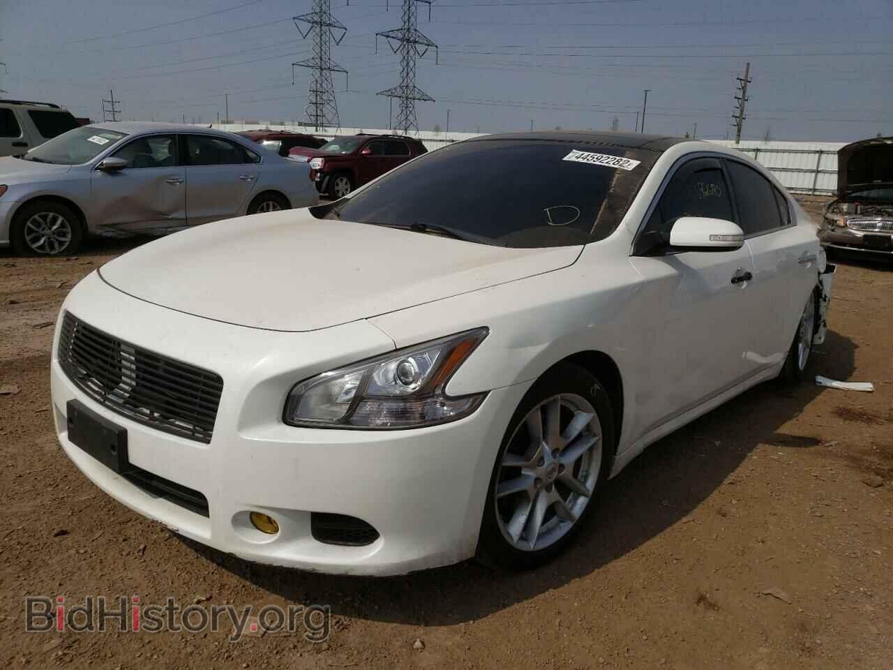 2011 NISSAN MAXIMA - VIN: 1N4AA5AP1BC828902 - Фото 2