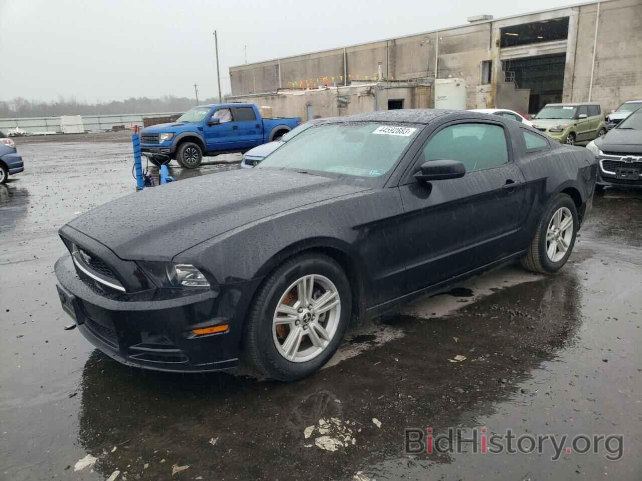 Photo 1ZVBP8AM7E5283248 - FORD MUSTANG 2014