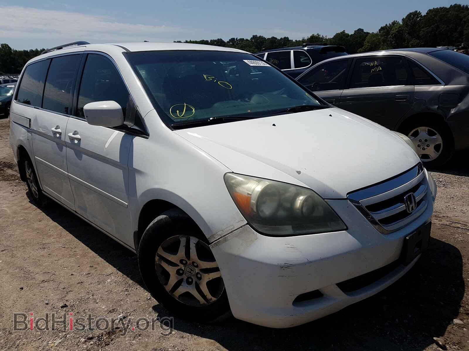 Фотография 5FNRL38457B031201 - HONDA ODYSSEY 2007