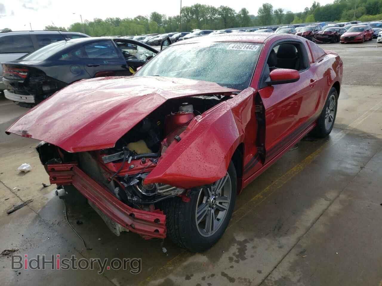 2013 FORD MUSTANG - VIN: 1ZVBP8AM1D5218961 - Фото 2