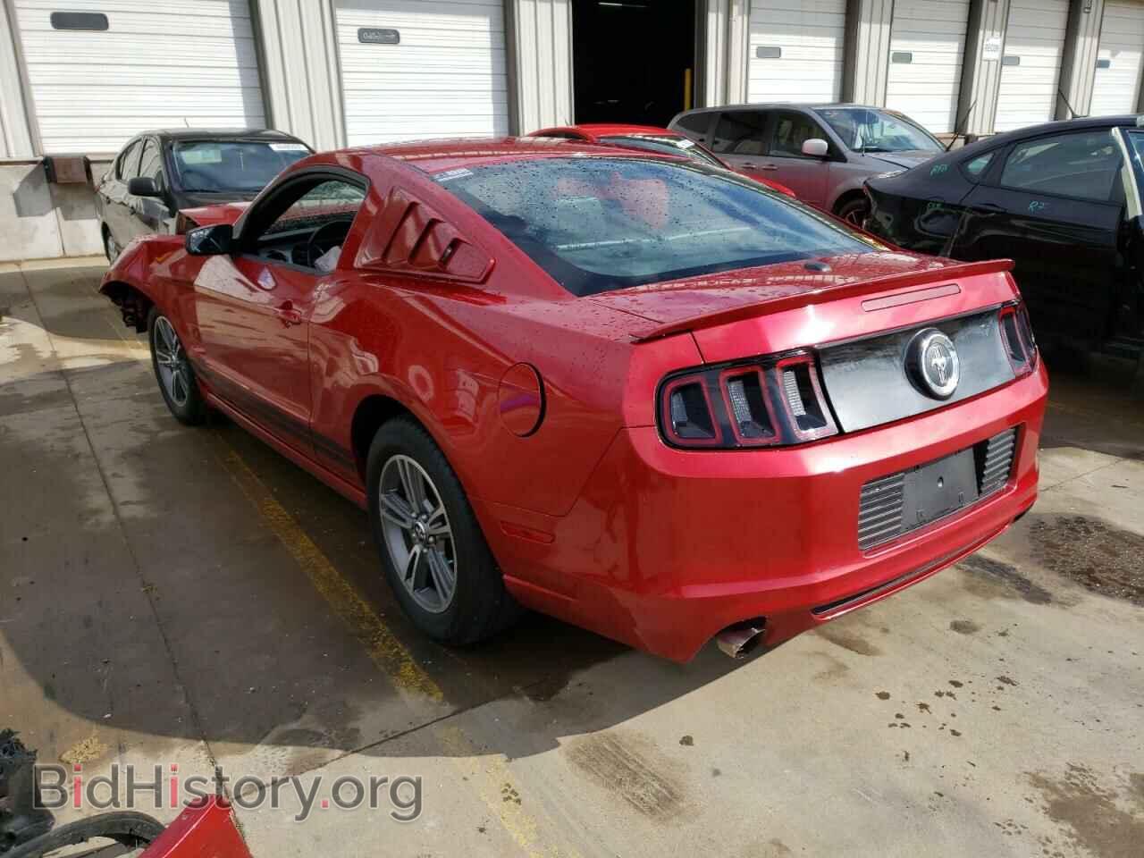 2013 FORD MUSTANG - VIN: 1ZVBP8AM1D5218961 - Фото 3