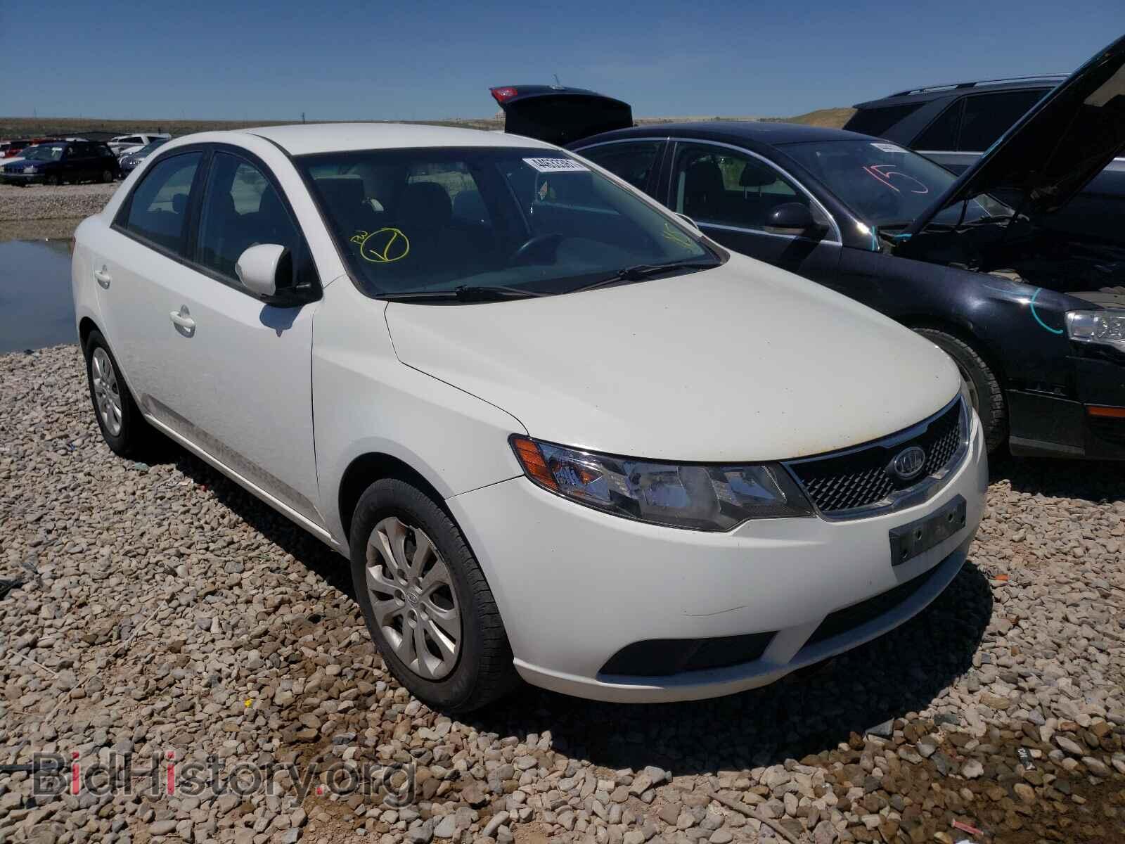 Фотография KNAFU4A23A5188973 - KIA FORTE 2010