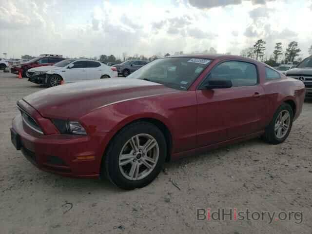 Photo 1ZVBP8AM5E5252290 - FORD MUSTANG 2014