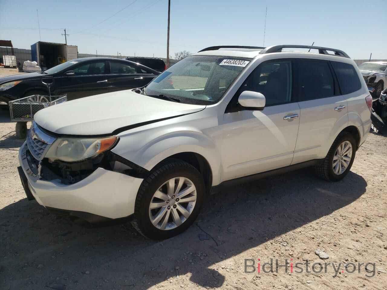 Photo JF2SHBCC8BH774313 - SUBARU FORESTER 2011