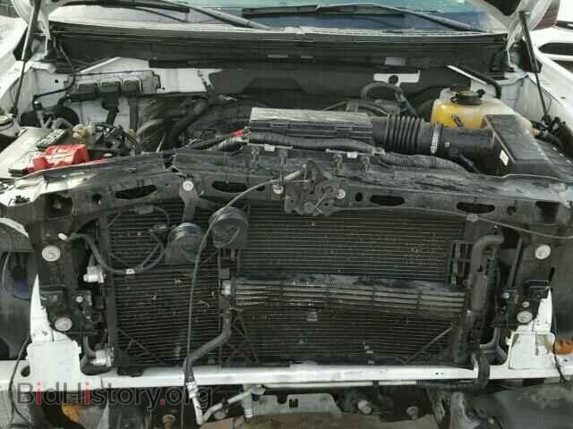 2013 FORD F150 - VIN: 1FTMF1CM1DFD70302 - Фото 7