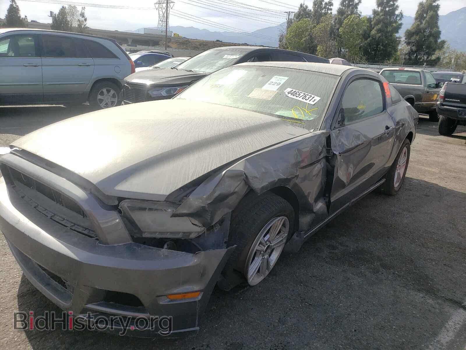 2013 FORD MUSTANG - VIN: 1ZVBP8AM6D5203128 - Фото 2