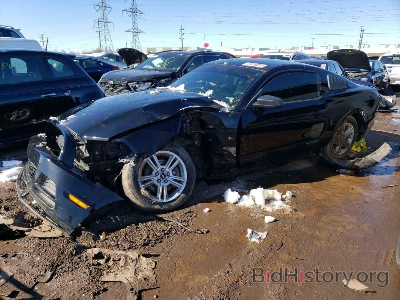 Photo 1ZVBP8AM6D5228563 - FORD MUSTANG 2013
