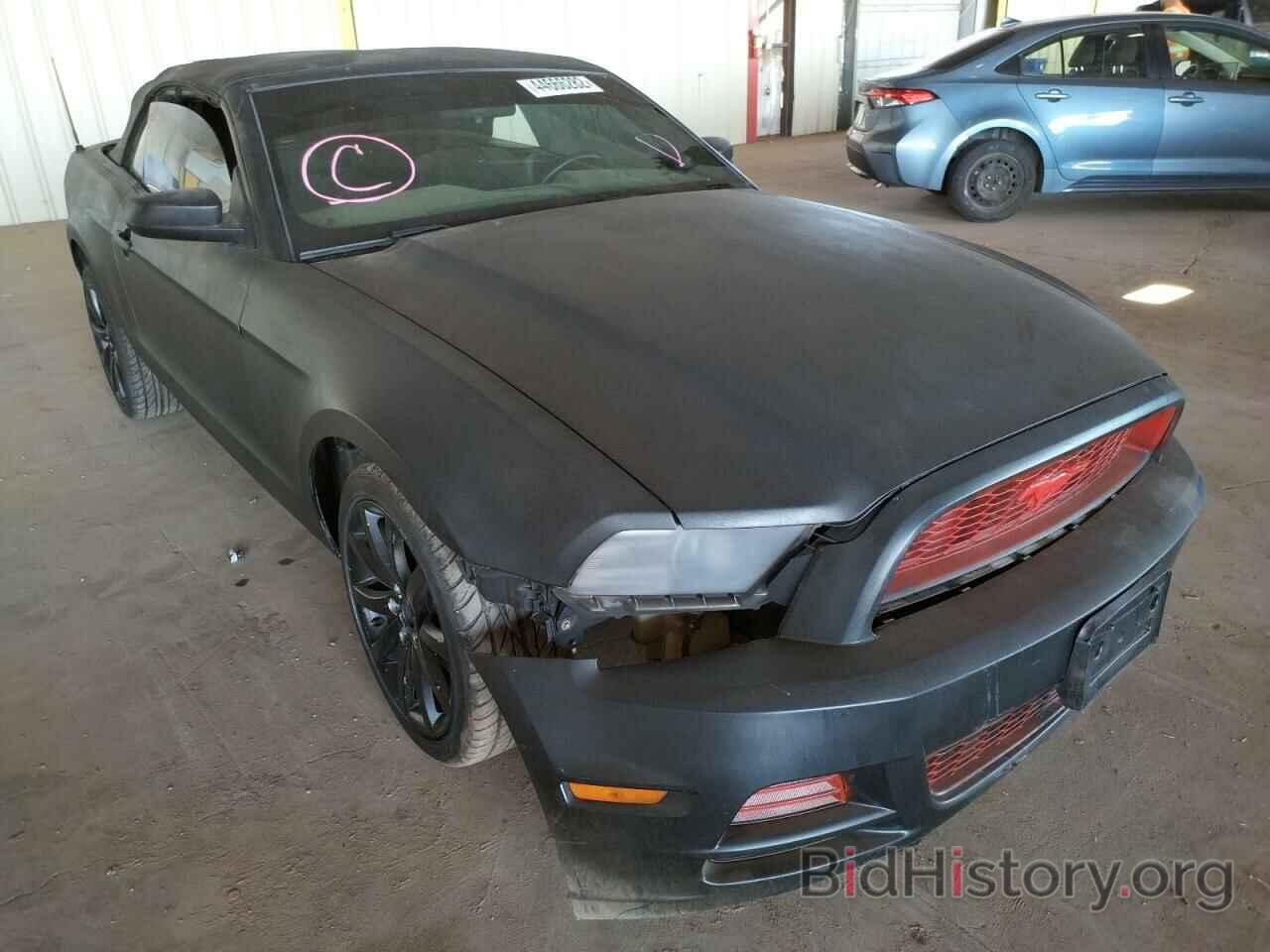 Photo 1ZVBP8EMXD5203885 - FORD MUSTANG 2013