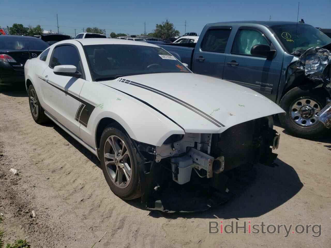 Photo 1ZVBP8AM3E5278919 - FORD MUSTANG 2014