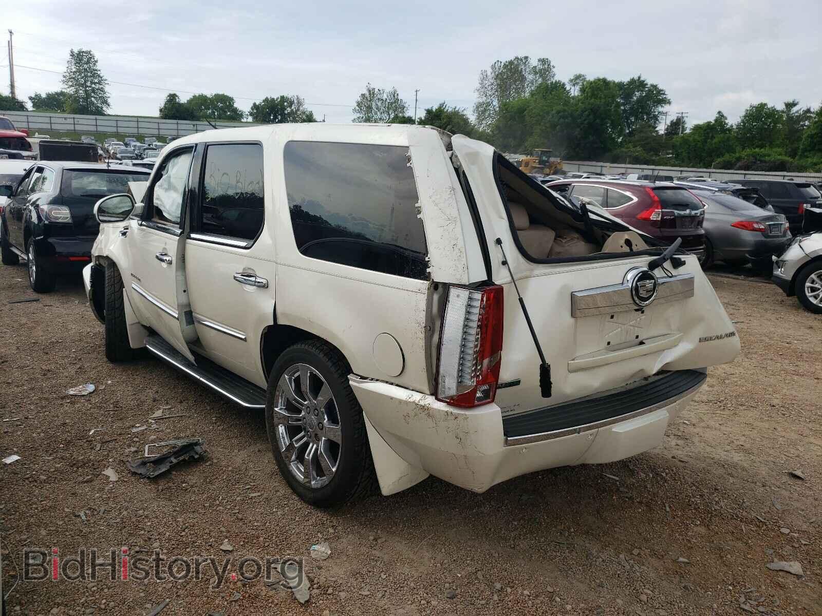 2010 CADILLAC ESCALADE - VIN: 1GYUKBEF7AR100186 - Фото 3