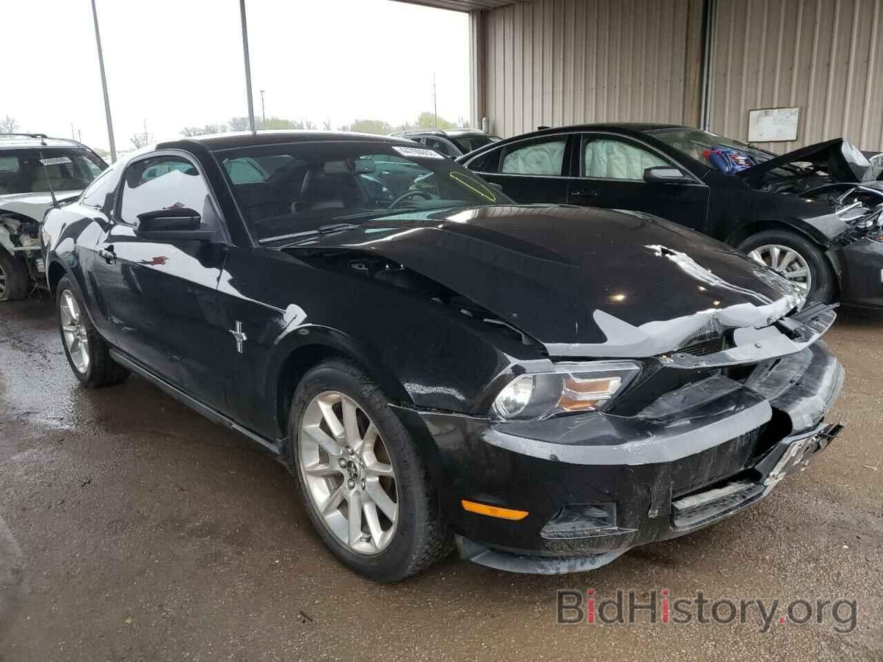 Photo 1ZVBP8AN0A5146395 - FORD MUSTANG 2010