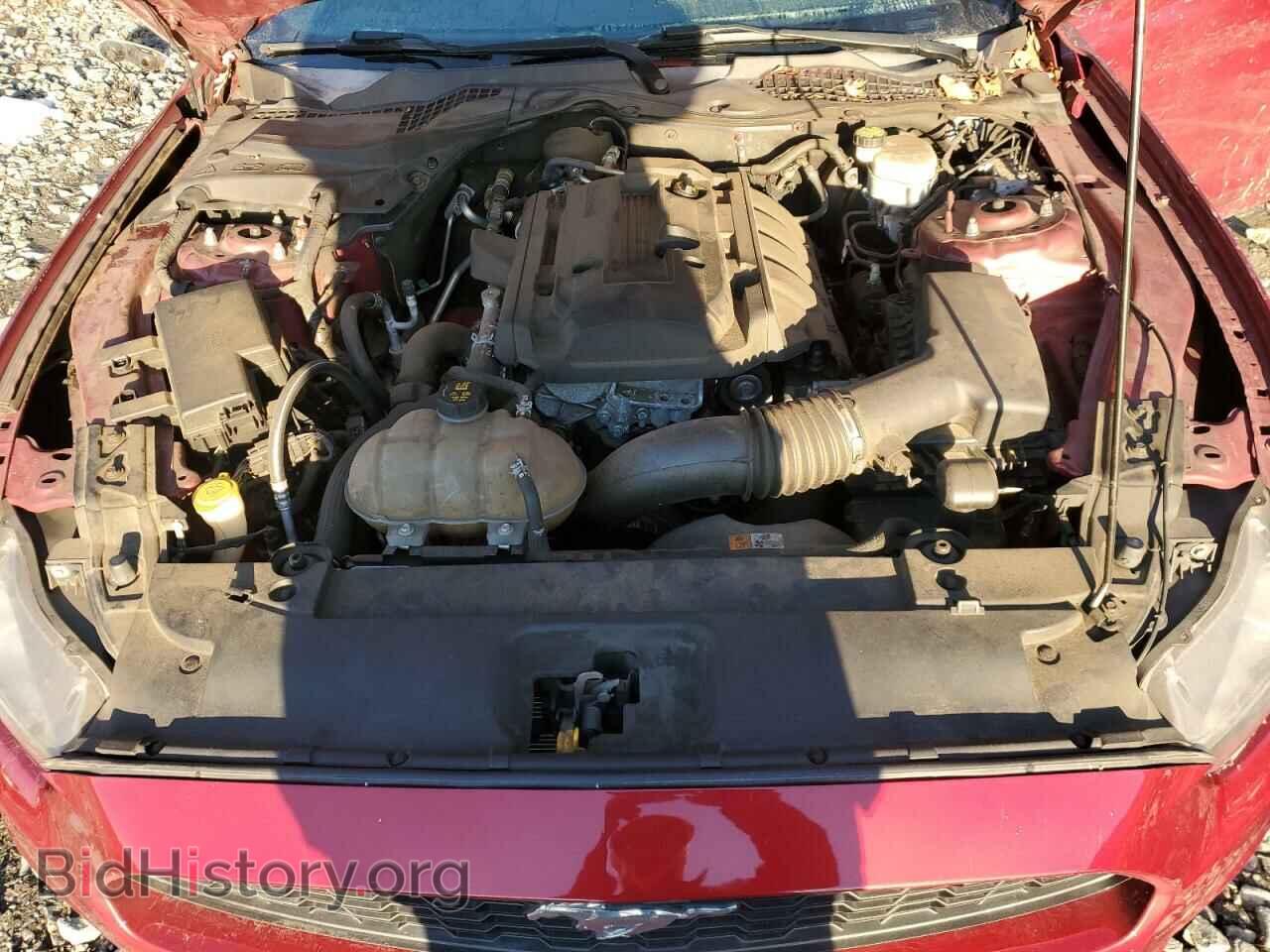 2017 FORD ALL Models - VIN: 1FA6P8TH1H5228034 - Фото 11