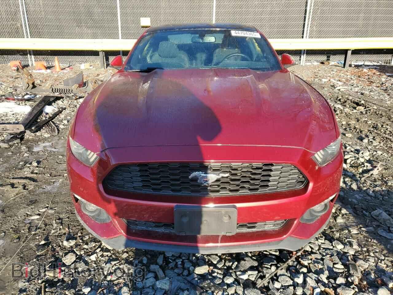 2017 FORD ALL Models - VIN: 1FA6P8TH1H5228034 - Фото 5