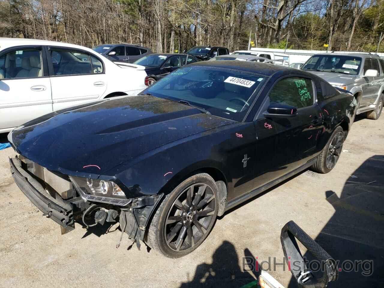 Photo 1ZVBP8AM5C5266025 - FORD MUSTANG 2012