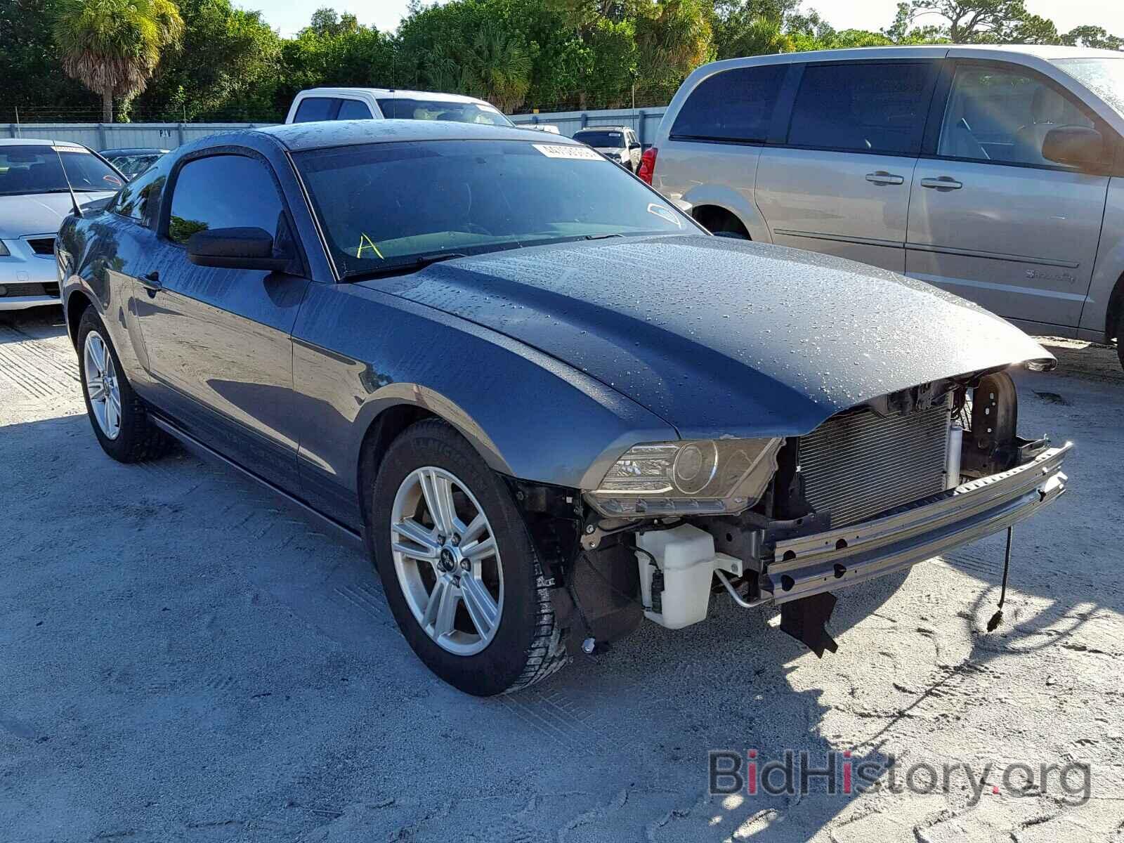 Фотография 1ZVBP8AM9D5281354 - FORD MUSTANG 2013