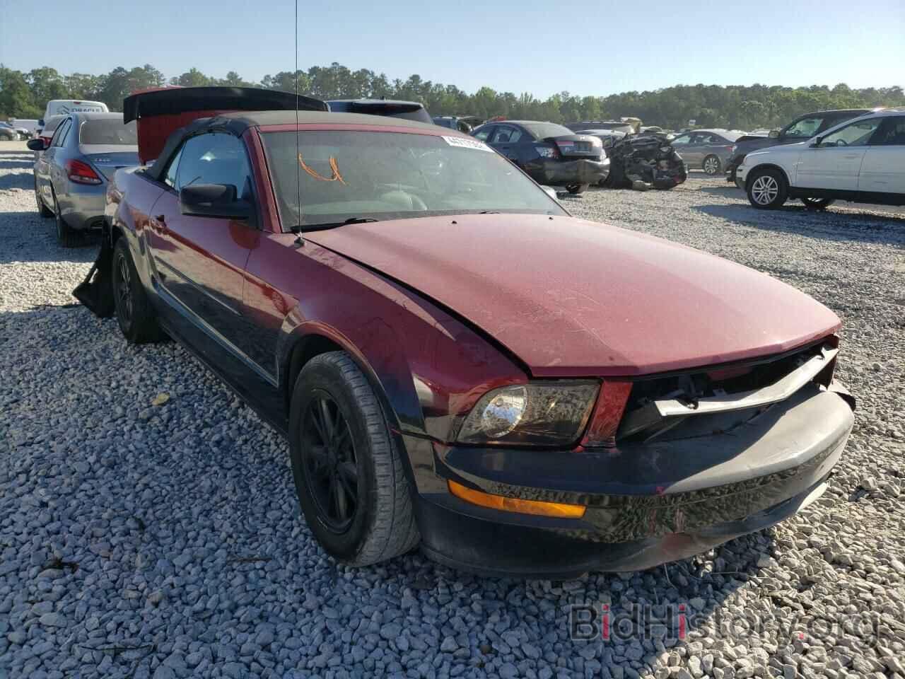 Photo 1ZVFT84N765254836 - FORD MUSTANG 2006
