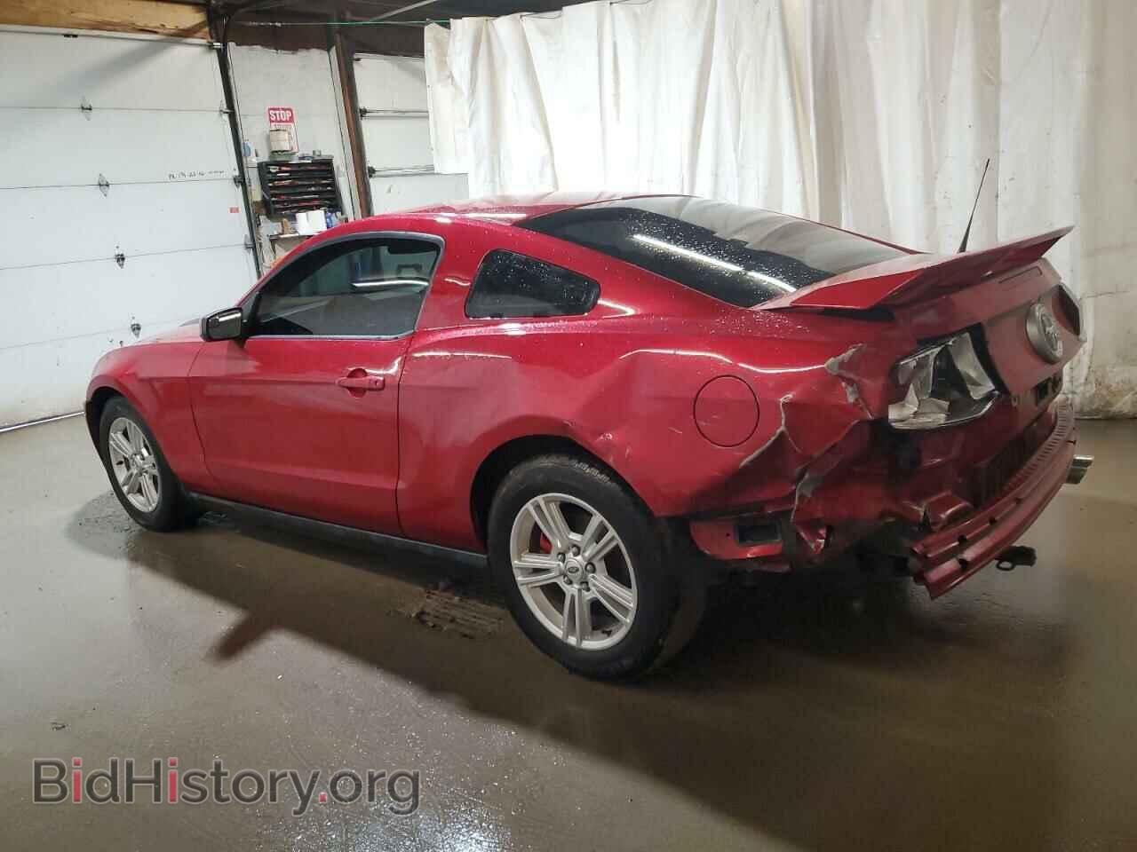 2011 FORD ALL Models - VIN: 1ZVBP8AM7B5153207 - Фото 2