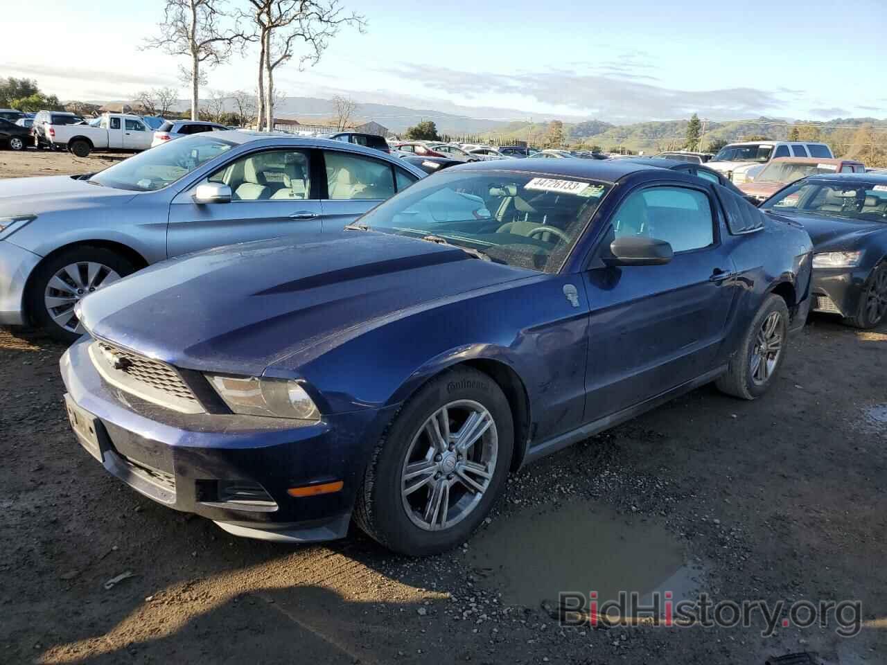 Photo 1ZVBP8AN3A5181223 - FORD MUSTANG 2010