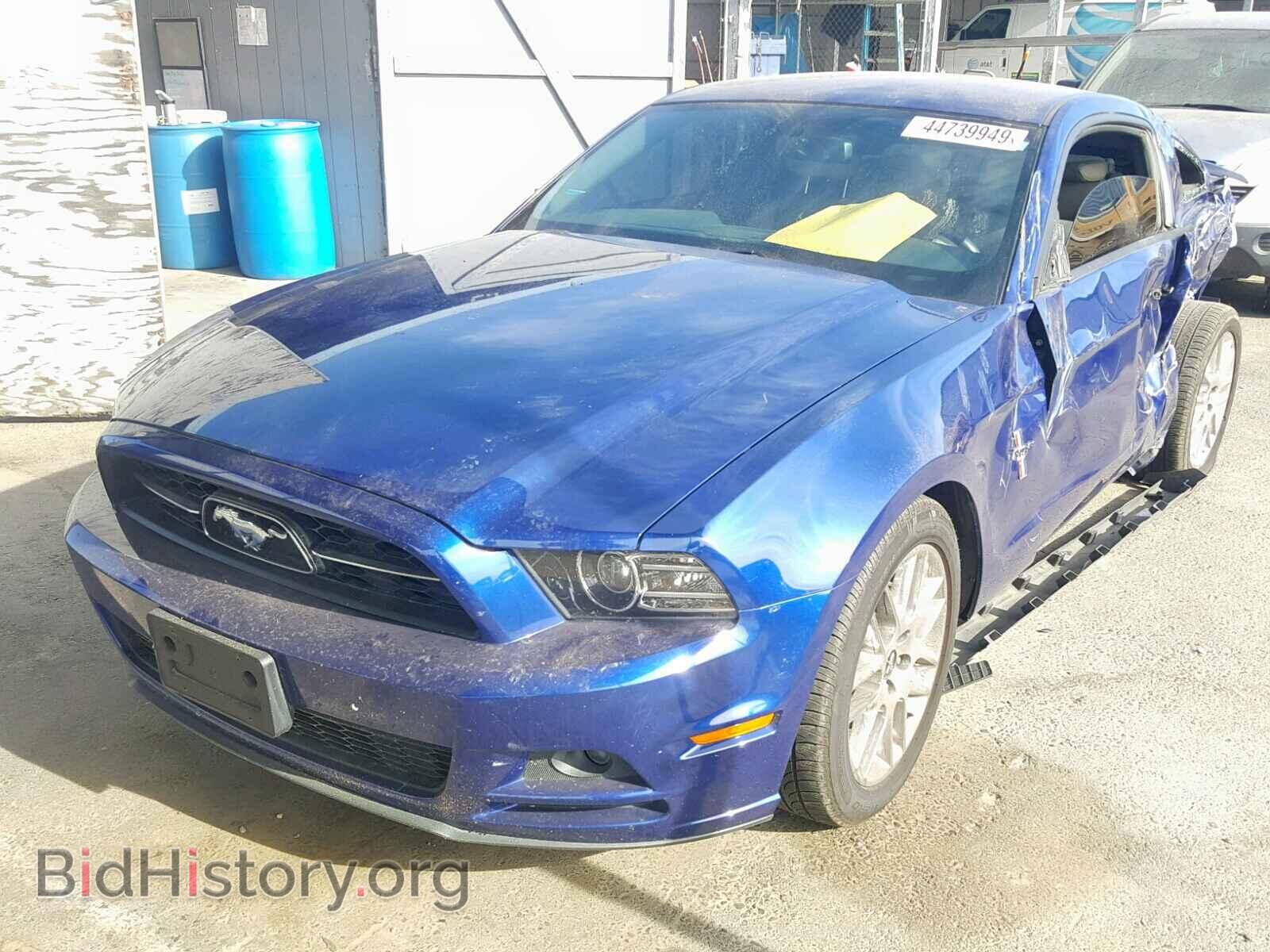 2013 FORD MUSTANG - VIN: 1ZVBP8AM8D5246577 - Фото 2