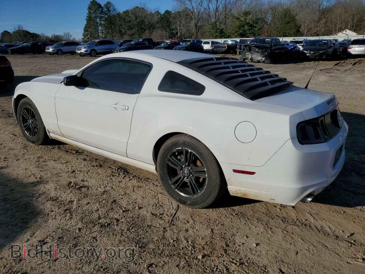 2014 FORD ALL Models - VIN: 1ZVBP8AM4E5249199 - Фото 2