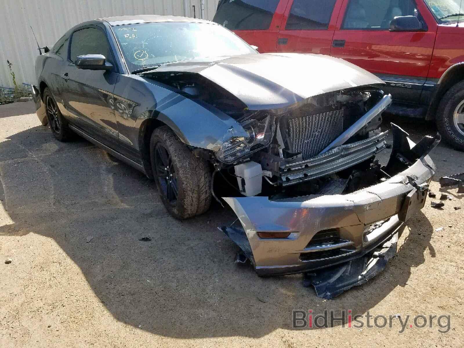 Photo 1ZVBP8AM2D5239673 - FORD MUSTANG 2013