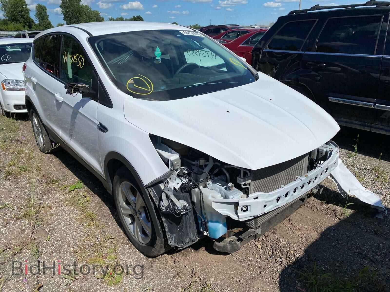 Фотография 1FMCU0GX3EUC66869 - FORD ESCAPE 2014