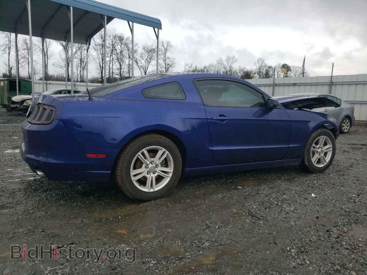 2013 FORD ALL Models - VIN: 1ZVBP8AM5D5281867 - Фото 3