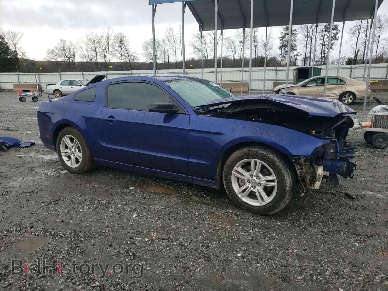 2013 FORD ALL Models - VIN: 1ZVBP8AM5D5281867 - Фото 4