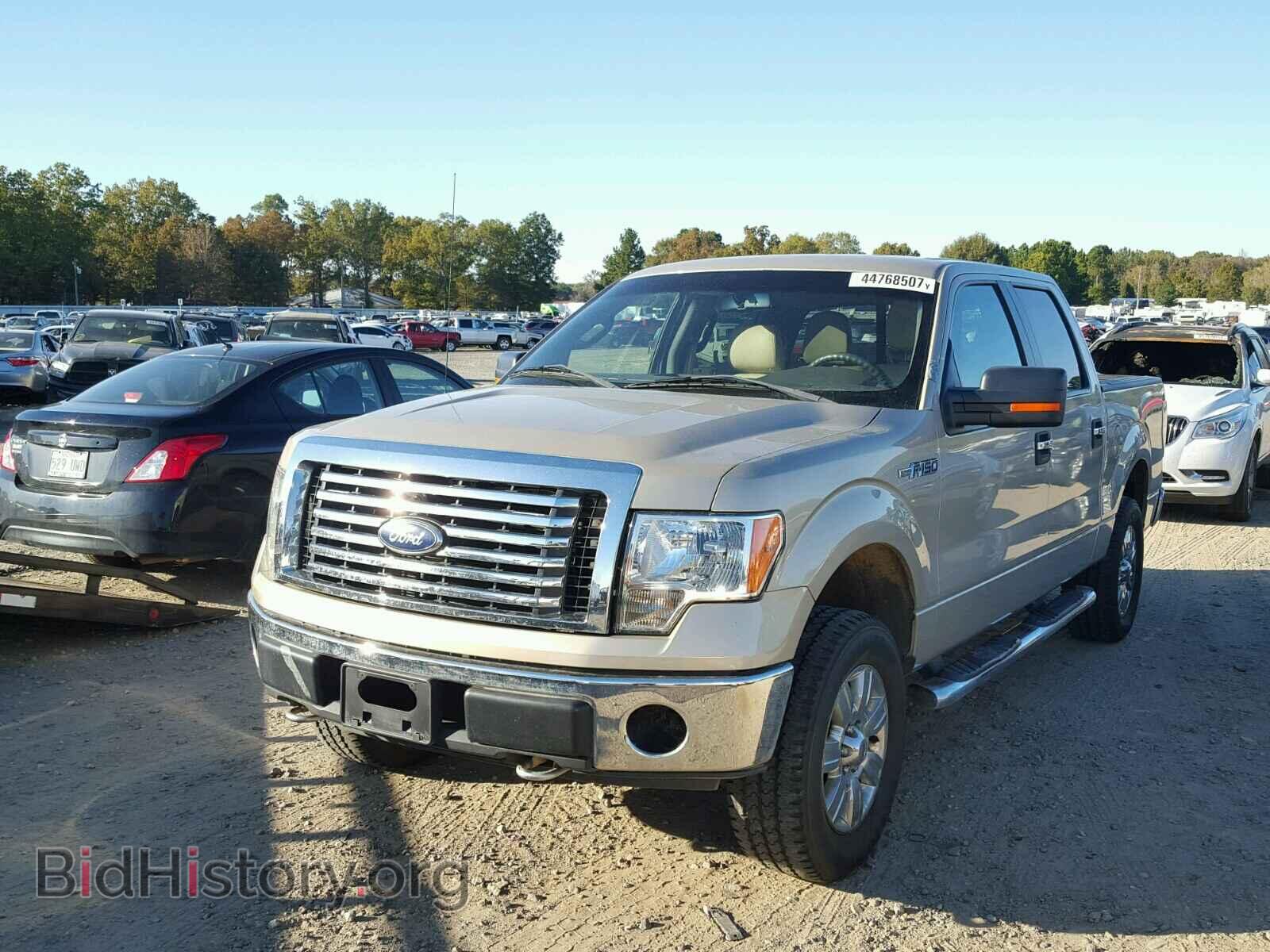 2010 FORD F150 - VIN: 1FTFW1EV7AFD39713 - Фото 2
