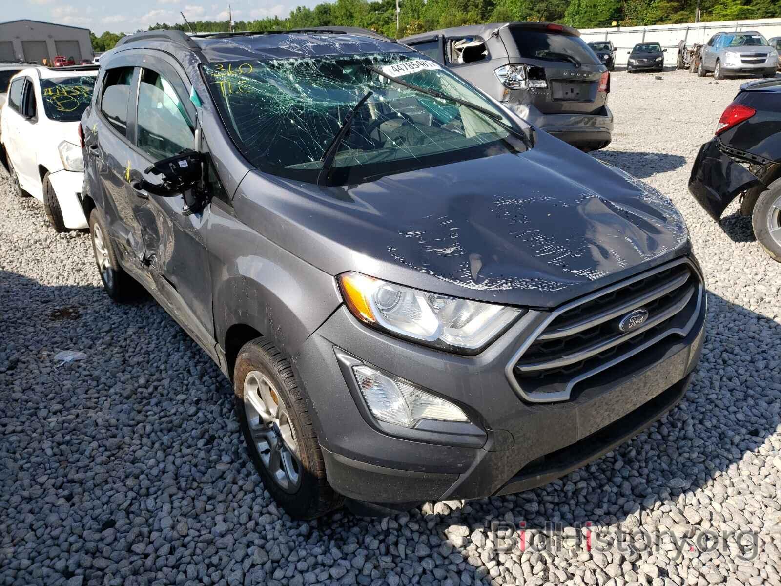 Photo MAJ3S2GE2KC296991 - FORD ALL OTHER 2019
