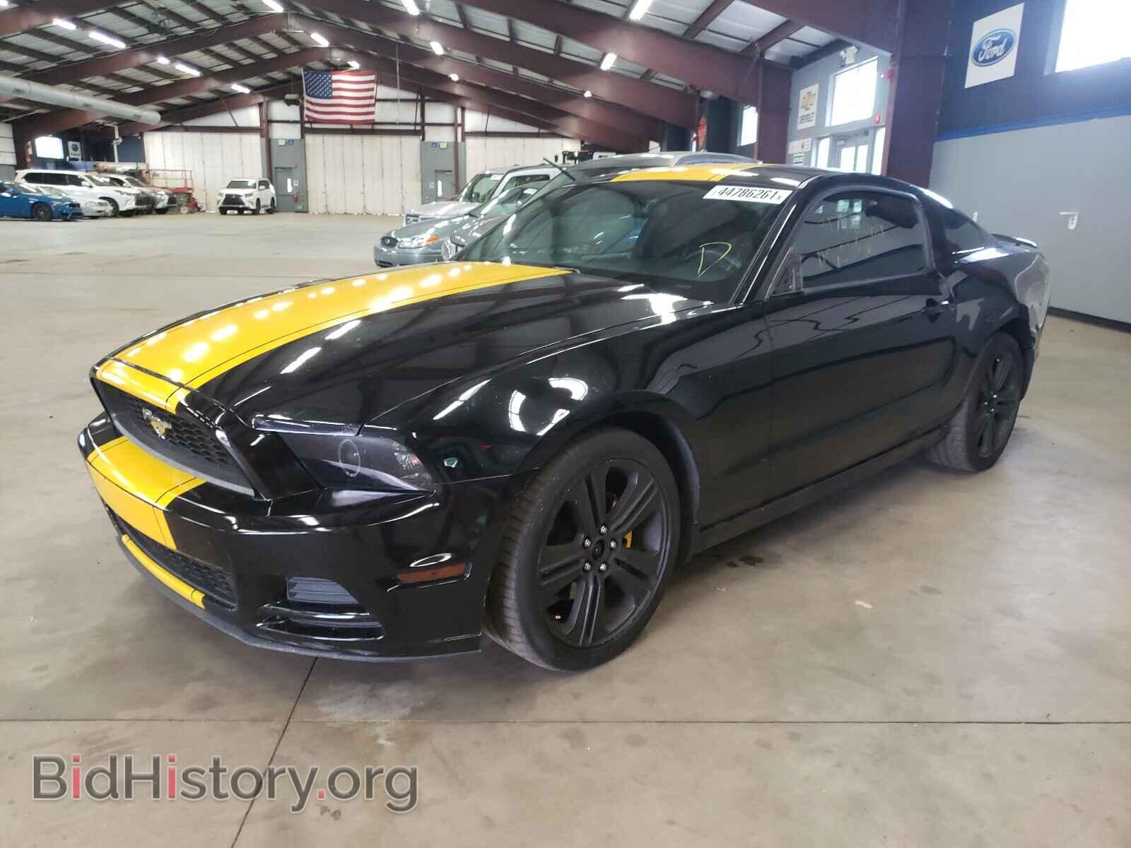 2013 FORD MUSTANG - VIN: 1ZVBP8AM9D5244921 - Photo 2