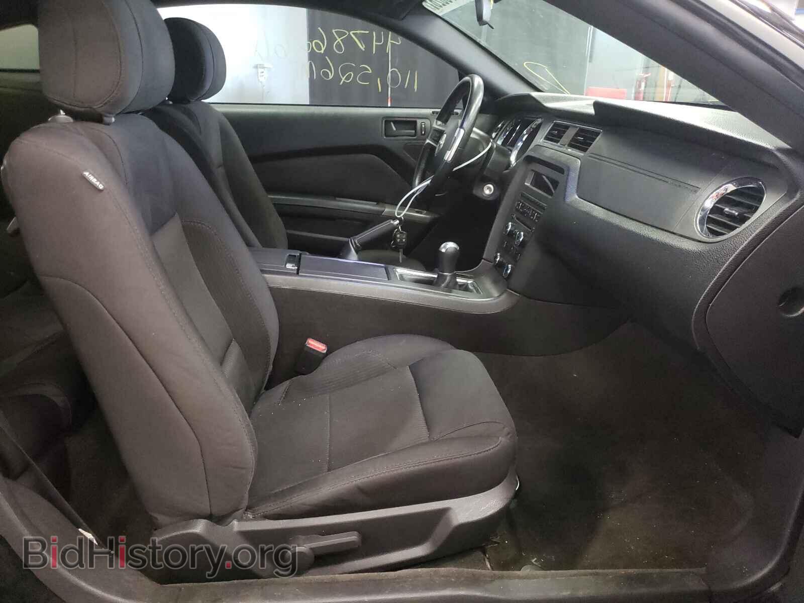 2013 FORD MUSTANG - VIN: 1ZVBP8AM9D5244921 - Photo 5