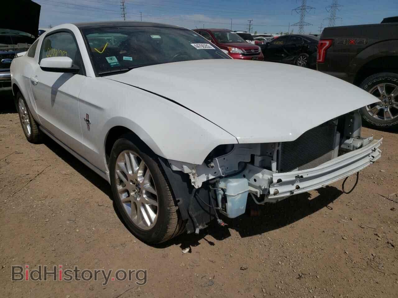 Фотография 1ZVBP8AM8E5331369 - FORD MUSTANG 2014