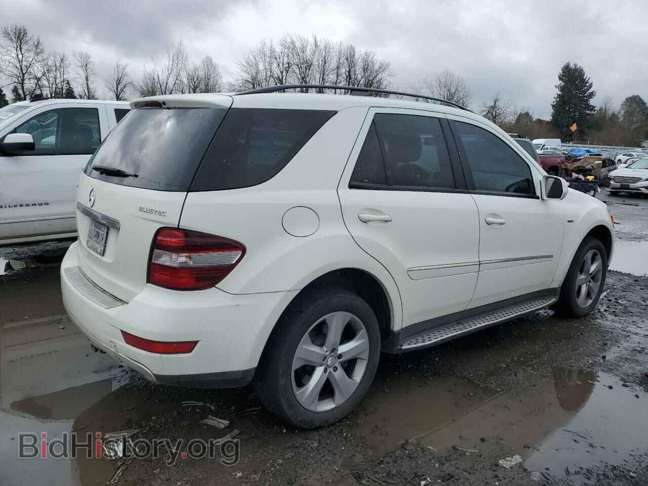 2009 MERCEDES-BENZ M-CLASS - VIN: 4JGBB25E79A506382 - Фото 3