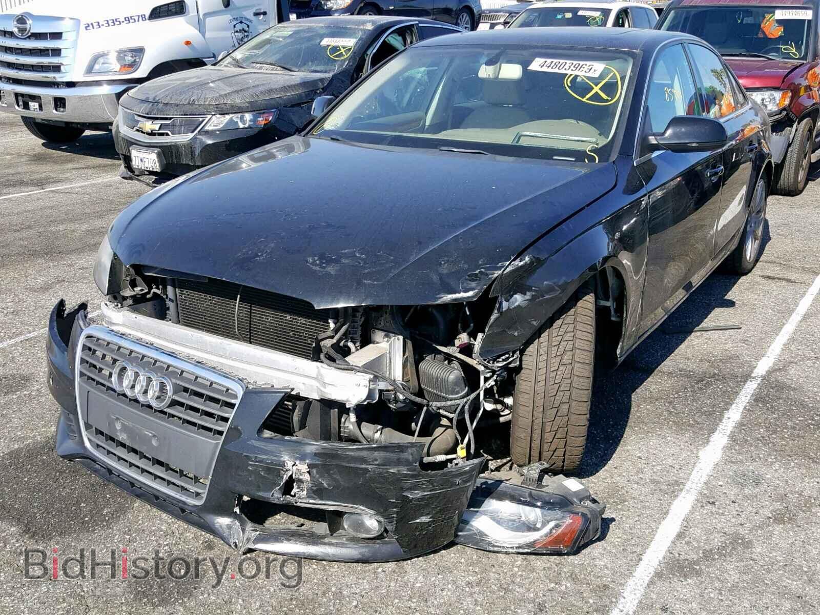 2010 AUDI A4 - VIN: WAUEFBFL3AN065203 - Фото 2