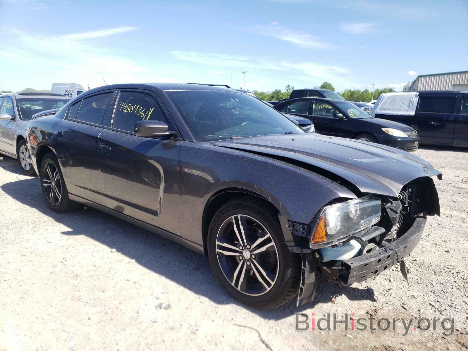 Photo 2C3CDXJG0EH203550 - DODGE CHARGER 2014