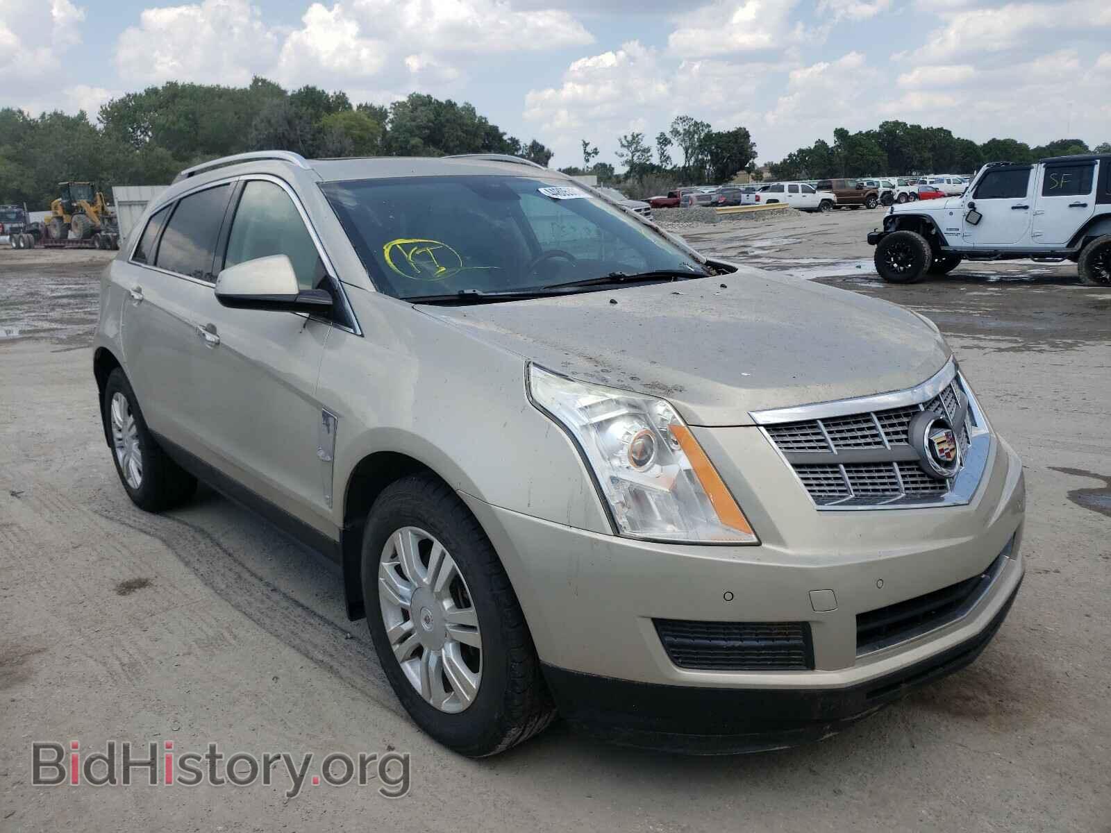 Photo 3GYFNAEY9BS653724 - CADILLAC SRX 2011