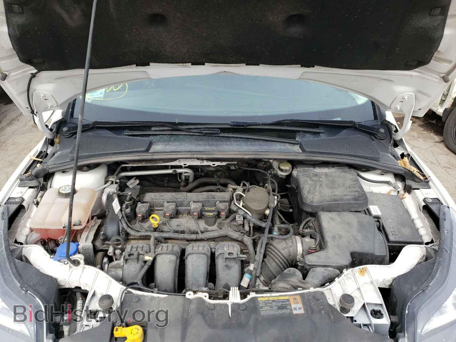 2013 FORD FOCUS - VIN: 1FADP3N24DL217294 - Фото 7