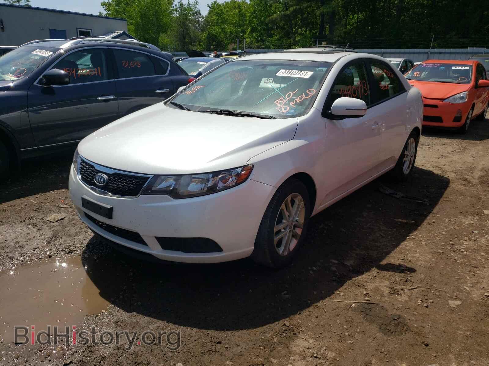 2012 KIA FORTE - VIN: KNAFU4A22C5497353 - Фото 2