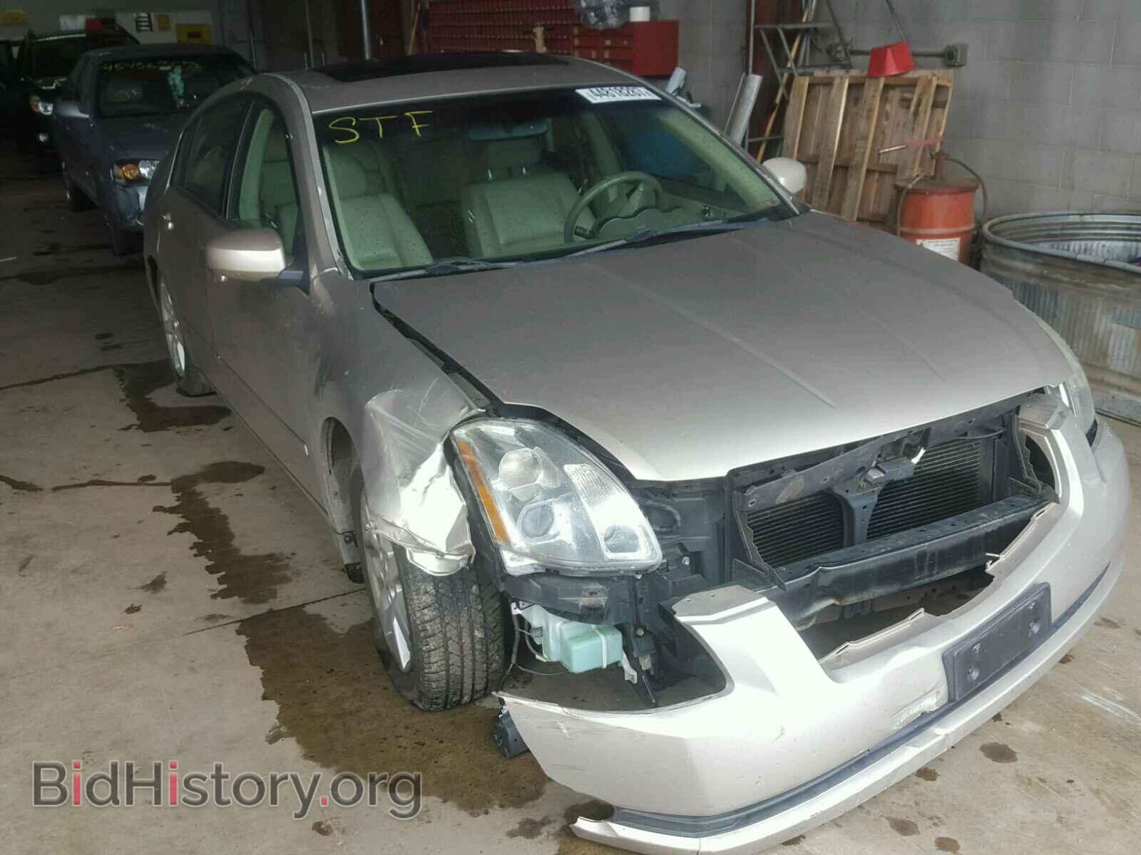 Photo 1N4BA41E06C804321 - NISSAN MAXIMA 2006