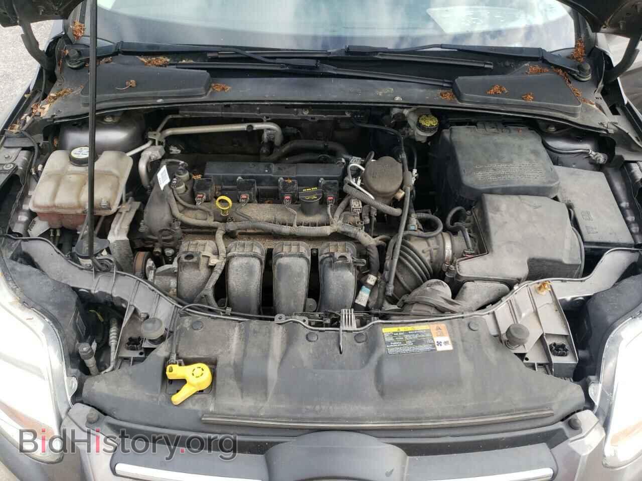 2013 FORD FOCUS - VIN: 1FADP3K26DL125799 - Фото 7