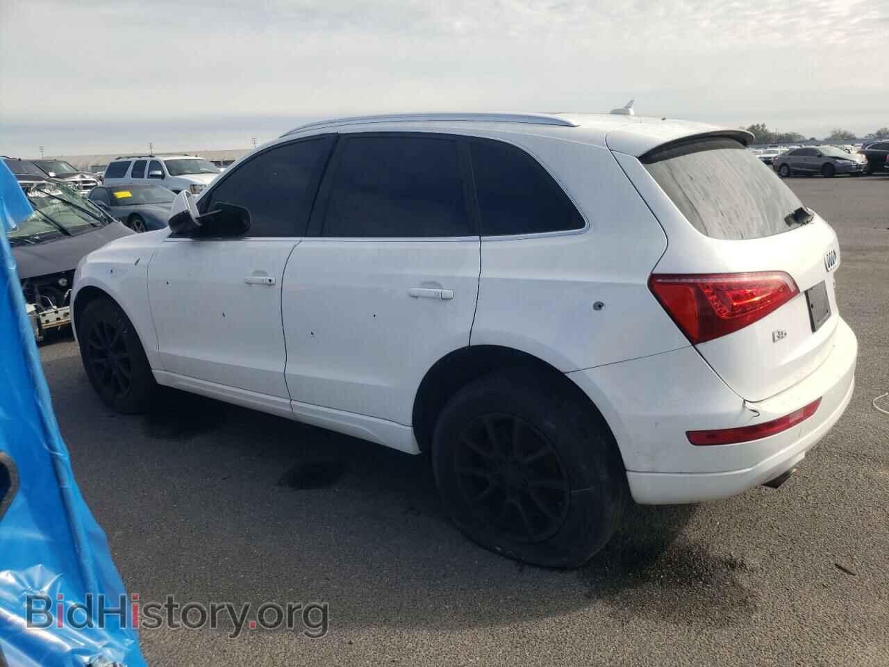 2010 AUDI Q5 - VIN: WA1CKAFP8AA016924 - Фото 2