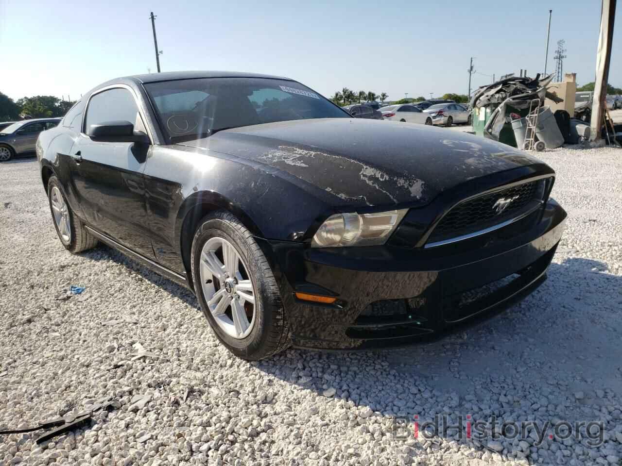 Photo 1ZVBP8AM6E5267106 - FORD MUSTANG 2014