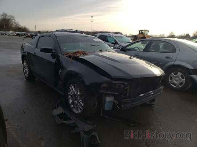Photo 1ZVBP8AMXC5262648 - FORD MUSTANG 2012