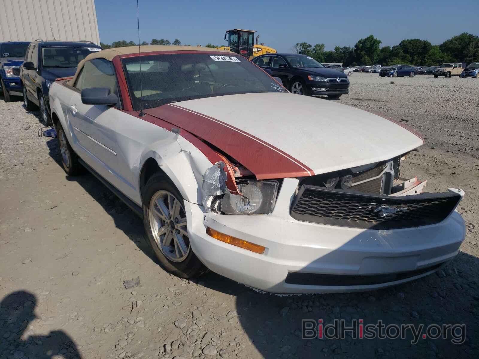 Photo 1ZVHT84N385207489 - FORD MUSTANG 2008