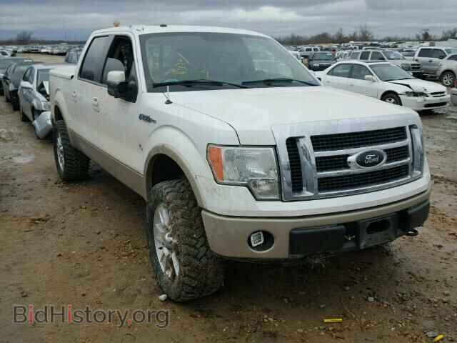 2010 FORD F150 - VIN: 1FTFW1EV0AFC21082 - Фото 10