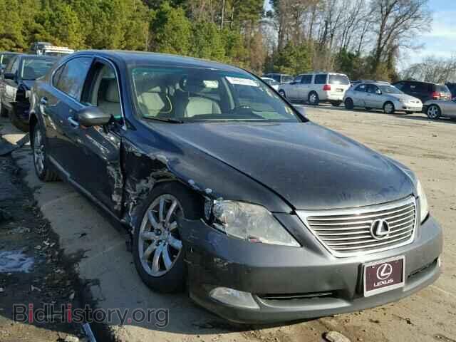 Фотография JTHGL46F785020901 - LEXUS LS460 2008