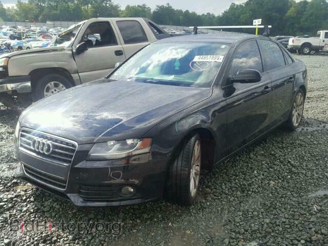 2011 AUDI A4 - VIN: WAUDFAFL0BN011817 - Фото 2