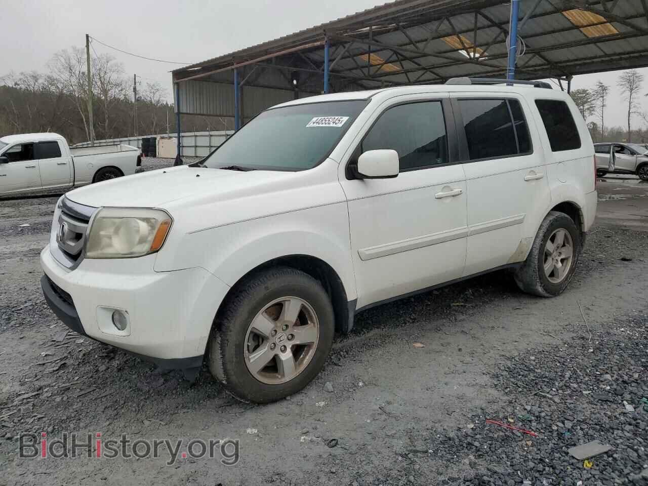 Photo 5FNYF3H52BB029085 - HONDA PILOT 2011