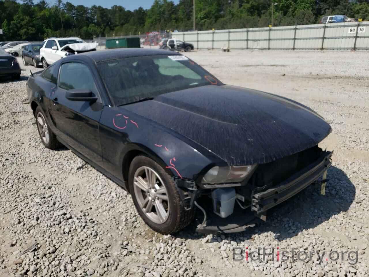 Photo 1ZVBP8AN5A5173091 - FORD MUSTANG 2010